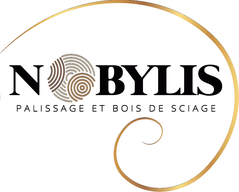 Logo complet de Nobylis avec l'arrondi du nombre d'or qui entoure les mots Nobylis et palissage et bois de sciage