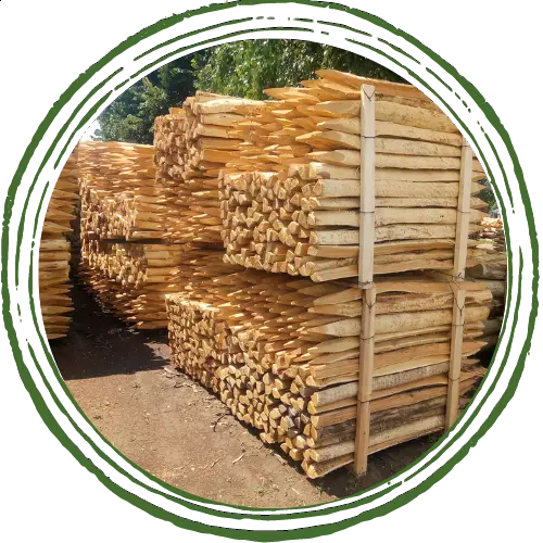 Photo de palettes de piquets dans un cadre vert