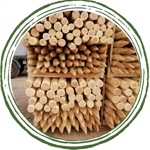 Photo de piquets ronds fraisés