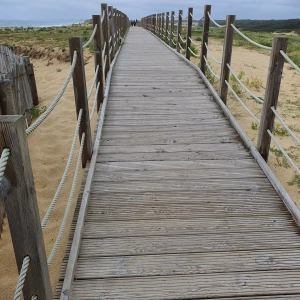 Photo de planches en bois d'acacia d'un chemin d'accès d'une plage