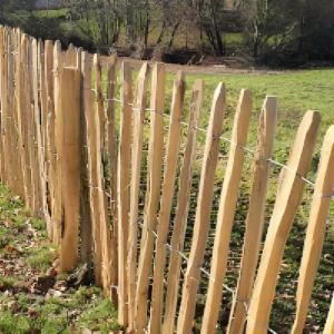 Photo d'une barrière d'un champ réalisée à l'aide de ganivelles en bois d'acacia robinier