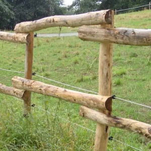 Photo d'une clôture de champ en acacia