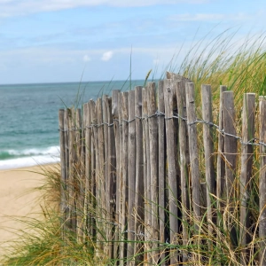 Photo d'une clôture girondine ou ganivelle sur une plage à l'océan