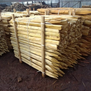 Photo de palettes alignées contenant des piquets à pointes sciées triangulaires