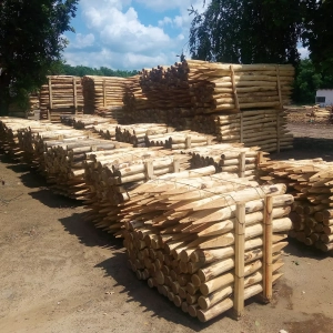 Photo de palettes de piquets ronds exposées sur le terrain de l'exploitation