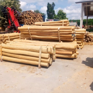 Photo de palettes de poteaux sans aubier d'acacia robinier exposés à l'extérieur de l'usine hongroise en collaboration avec Nobylis