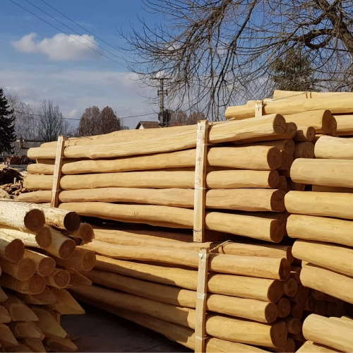 Photo de palettes de poteaux sans aubier
