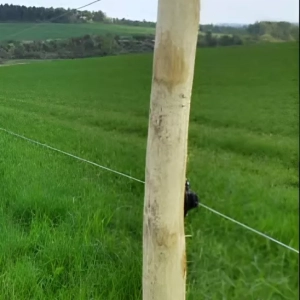 Photo d'un piquet rond de clôture d'un champ pour animaux