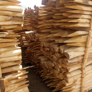 Photo de piquets ronds écorcés entreposés à l'extérieur de l'usine hongroise qui travaille avec Nobylis