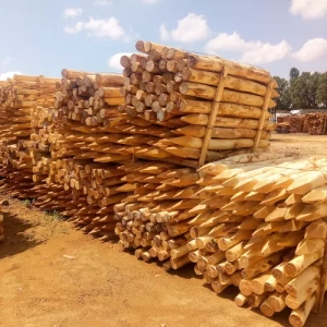 Photo de piquets écorcés et planés dans des palettes exposées sur l'exploitation de l'usine hongroise travaillant pour Nobylis