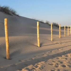 Photo de poteaux utilisés pour faire une barrière pour une dune de sable à la plage