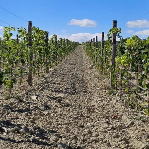 whatsapp-image-2025-09-26-a-08-48-45_b7f15e5f